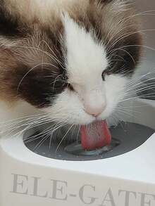 Dispensador Automático de Agua y Croquetas para Mascotas – 1L de Agua y 2.8L de Croquetas - Multicolor - Ver 4