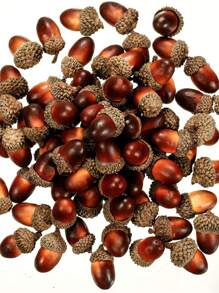 10 件人造橡子、栗子和堅果聖誕裝飾、感恩節和聖誕節餐桌裝飾