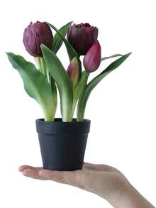 仿真花卉套裝附花盆,假郁金香綠葉,小型盆裝花卉裝飾,適用於辦公室、書架、臥室、客廳、桌子、婚禮及家居裝飾 - 酒紅色 - 查看 4