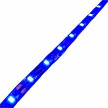 Led Strip 3528 Roll Of 5 Meters Bsp - Blue - View 2