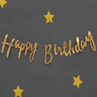 1 件生日快乐字母派对横幅，背景装饰，长约 2.5 米，回到学校情人节