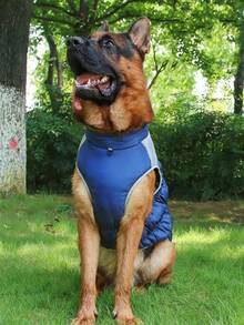 1pc Blue New Style Winter Pet Jacket, Thickened & Warm, Comfortable, Reflective & Waterproof, Suitable For Medium And Large Pets In Cold Weather - Royal Blue - View 8
