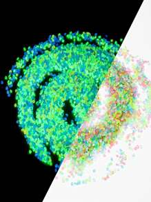 4300入組/袋夜光石夜光鵝卵石家庭花園裝飾室外庭院草坪路徑裝飾水族館發光石