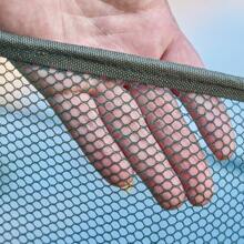 Open-style Folding Fishing Cage, Shrimp Cage, Eel Net, Crab Net, Lobster Net For Catching Fish And Moving Fishing Tools - Army Green - View 5