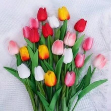 1 Pieza Flor De Tulipán Rojo - Rojo - Ver 3