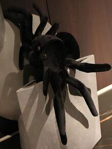 1pc Black Realistic Spider Stuffed Toy Doll, Plush Pillow, Prank, Gag Toy - Black - View 3