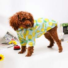 Fashionable Cartoon Printed Plush Warm Hoodie Two Legs Dog Clothes For Small Dog Breeds Like Teddy, Poodle - Blue - View 9