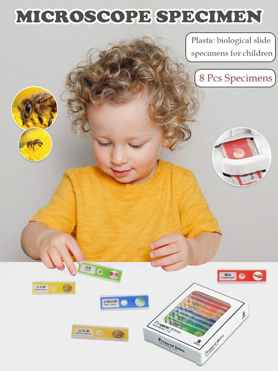 NEUSNEY 1 Box Microscope Slides Accessories With Biological Specimens