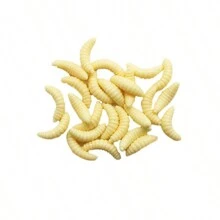 50Pcs Fishing Lure Lifelike Worm Maggot Grub Soft Silicone Artificial Earthworm Fishing Lure - Yellow - View 5