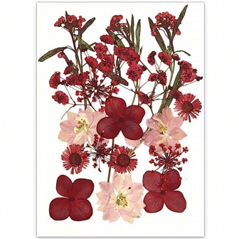 Dried & Pressed Natural Flowers For Nail Art, Resin & Candle Making, Diy Crafts And More