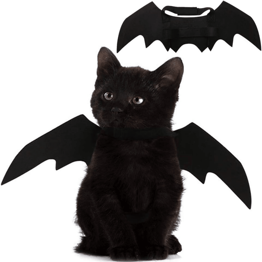 1pc Black Bat Wing Style Cute Pet Costume For Cats Dogs Halloween Decoration Halloween Halloween Costumes