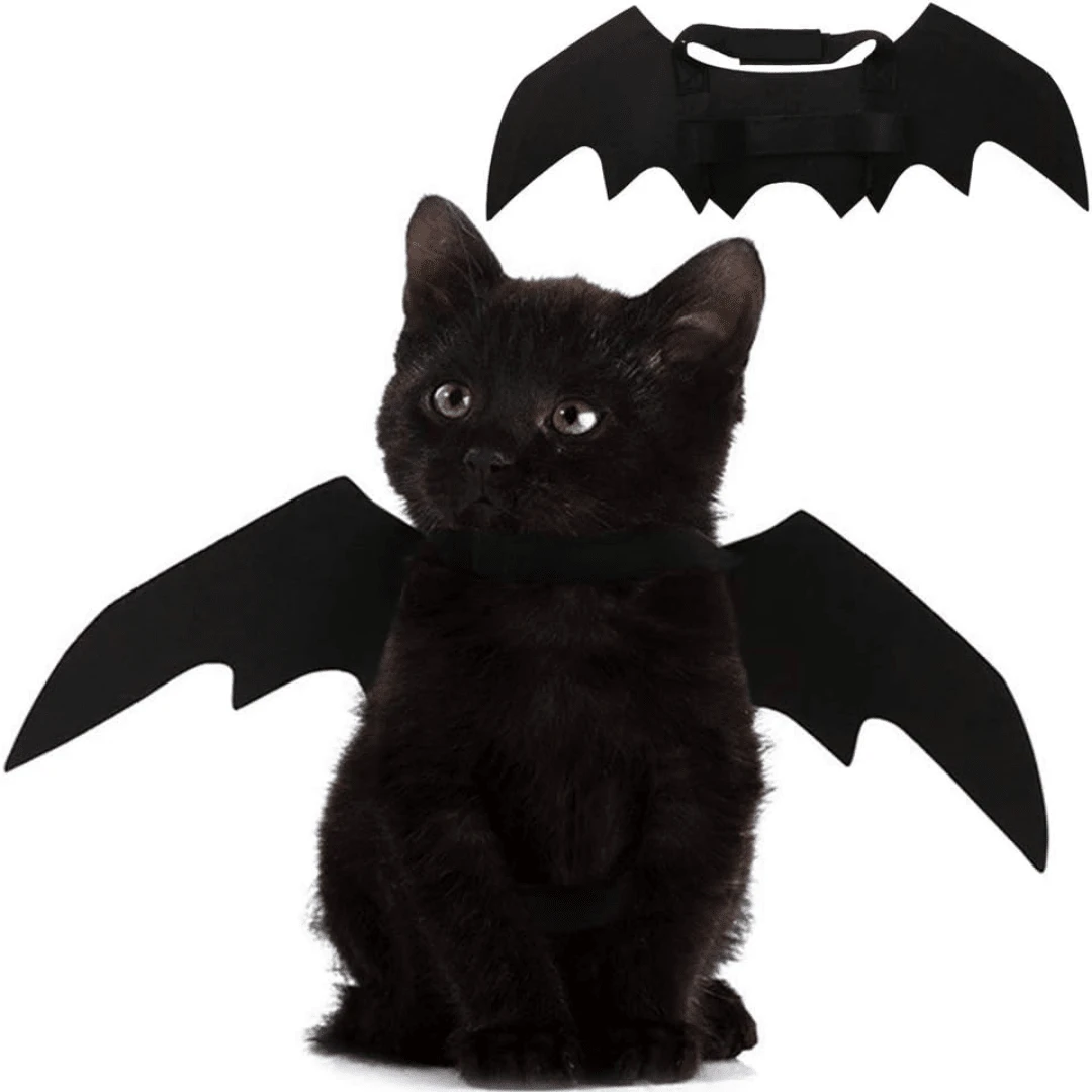 1pc Black Bat Wing Style Cute Pet Costume For Cats Dogs Halloween Decoration Halloween Halloween Costumes