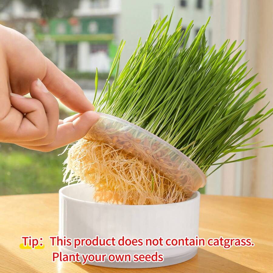 1pc Round Pp Cat Grass Hydroponic Planter Suitable For Indoor Hydroponic Cat Grass (without Seeds)