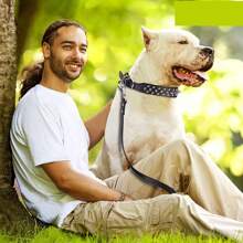 Bộ vòng cổ,  thắt lưng & dây đai cho thú cưng - màu đen - Xem 5