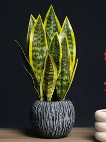1 pièce Plante de bégonia à peau de tigre artificielle sans pot pour la décoration de table à la maison, la Saint-Valentin, le cadeau