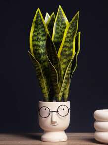1 pièce Plante de bégonia à peau de tigre artificielle sans pot pour la décoration de table à la maison, la Saint-Valentin, le cadeau