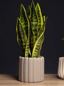 1 pièce Plante de bégonia à peau de tigre artificielle sans pot pour la décoration de table à la maison, la Saint-Valentin, le cadeau