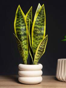 1 pièce Plante de bégonia à peau de tigre artificielle sans pot pour la décoration de table à la maison, la Saint-Valentin, le cadeau