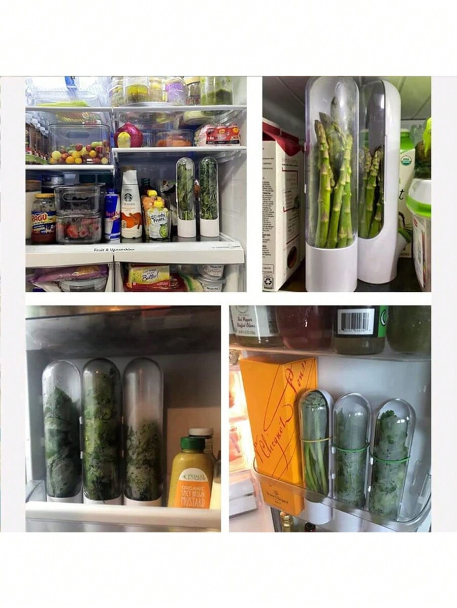 1pc Herb Keeper Container With Pod For Preserving And Storing