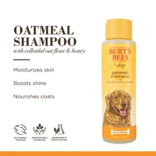 Oatmeal And Honey Shampoo For Dogs, Soothes And Softens, Ideal For Sensitive Skin 476ml