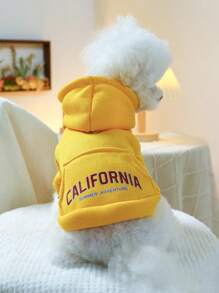 1 件寵物服裝狗和貓衣服四季服裝帶 D 形環和連帽衫,印花加州口袋運動衫 - 黃色