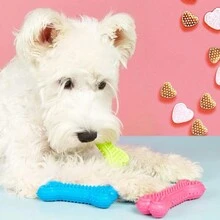 1pc Tpr Dog Toy Rubber Bone Toy Heart Shaped Prickly Teeth Cleaning Toy Suitable For Small Breeds Please Note The Size Green/red/blue - Green - View 3