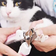 Pet Nail Clippers & Grinders - Hồng - Xem 6