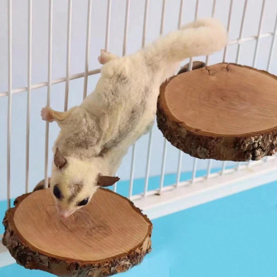 木製跳躍平台,倉鼠花枝,飛鼠,松鼠豚鼠磨牙玩具用品 - 棕色 - 查看 1