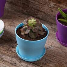 10pcs Plastic Flower Pot, Indoor Plant Pot - White - View 7