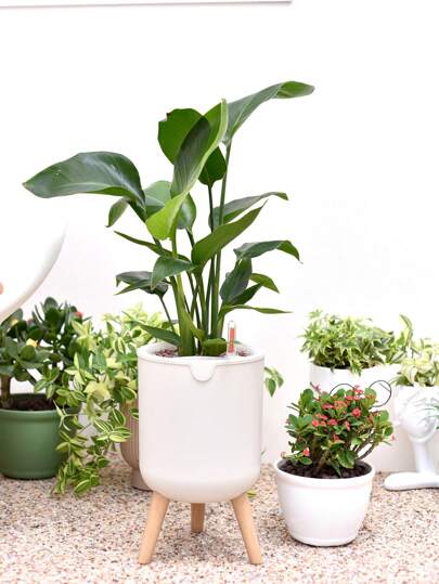 1pc Double Layer Plastic Self-watering Flower Pot With Water Level Indicator, Modern Style Decor For Living Rooms, Offices, And Hotels, Suitable For Indoor Use.