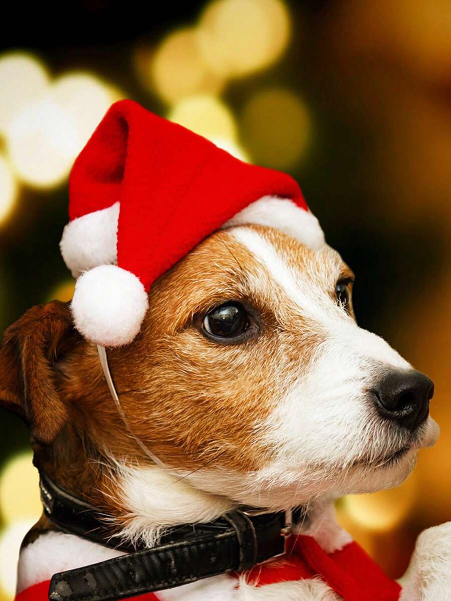 1pc Christmas Decor Pet Santa Hat For Dogs - Red - View 1