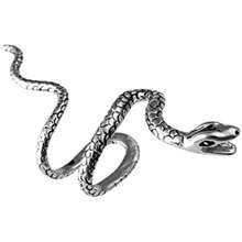 1入組蛇形耳夾非穿刺耳環,軟骨夾式耳環,庞克復古蛇形耳爬式耳環,夾式耳環,緊貼蛇形圈式不分男女款耳環珠寶飾品 - 黑色 - 查看 6