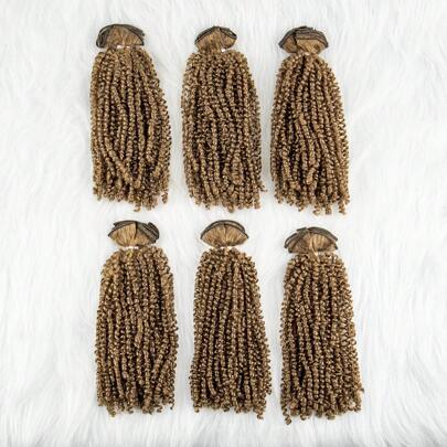 6Packs Short Curly Spring Pre-twisted Braids Synthetic Crochet Hair Extensions 10 inch 6strands/pack Ombre Braids Fiber Fluffy Braiding Hair Bulk