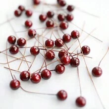 20个仿真红色水果浆果，冬青浆果，幸运果，圣诞红色圆球饰品，家居装饰，圣诞装饰，冬季房间装饰