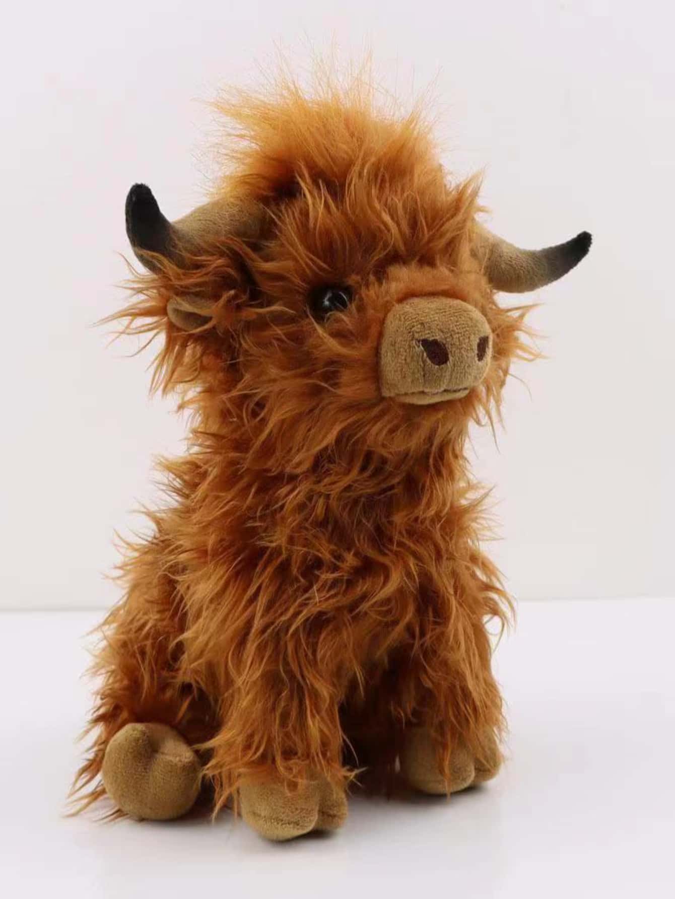 Mucca Delle Highlands Scozzesi Immagine Stock - Immagine di zoccoli