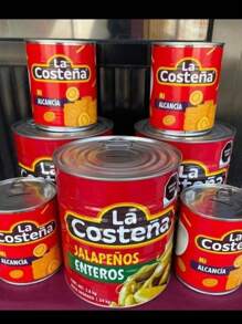 Large Costeña Piggy Bank - Red - View 2