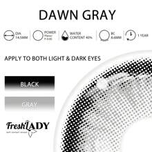 FRESH LADY Freshlady Dawn Gray Colored Contact Lenses 1 Year Disposable - Grey - View 4