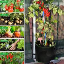 5加侖/5入組或3入組黑色非織布植物生長袋，配有手柄，10個地面插標和育苗袋，塑料包裝，適用於種植馬鈴薯 - 黑色 - 查看 5