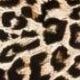 Marrone ruggine