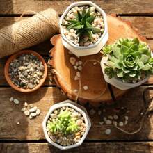 河石天然裝飾混合顏色卵石,魚缸礫石小花園覆土,適用於水族箱、園藝造景、花瓶填充物、多肉、空氣植物、仙人掌、玻璃缸植物 - 彩色 - 查看 3