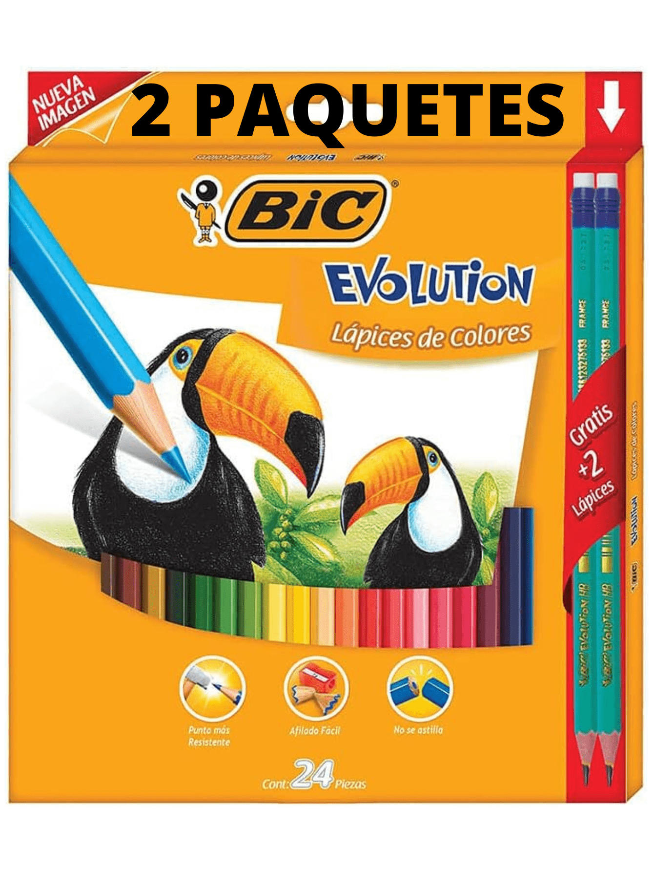 Bic lapices de colores evolution con 24 + 2 | Moda de Mujer | SHEIN México