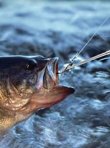 1入組戶外深喉盲人鉤拆卸器,不鏽鋼輕量鋁合金手柄,多功能漁勾取出器 - 彩色 - 查看 4