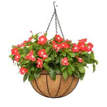 14英寸椰纖維裡襯的圓形金屬掛籃,配鏈式植物架,適用於家庭花園裝飾