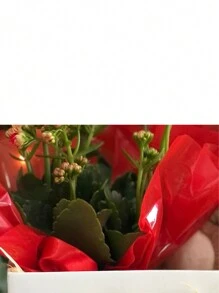 Gift Wrap Paper - 紅色的 - 查看 2