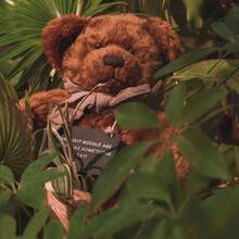 安全娃娃眼睛、塑膠玩具眼睛、100 顆黑眼珠和 14 個帶墊圈的彩色眼睛、用於軟毛絨玩具和 Diy 項目的替換鉤針眼睛、用於氈制的動物眼睛 - 黑色 - 查看 8