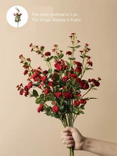 المنزل والمعيشة