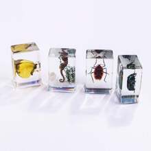 1入透明琥珀昆蟲標本,樹脂昆蟲工藝品,昆蟲紙鎮,透明琥珀昆蟲標本 - 彩色 - 查看 3