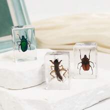 1入透明琥珀昆蟲標本,樹脂昆蟲工藝品,昆蟲紙鎮,透明琥珀昆蟲標本 - 彩色 - 查看 2