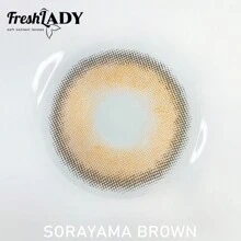 FRESH LADY Freshlady Everyday Color Contacts Pupilentes Sorayama 棕色彩色隐形眼镜 1 年抛型 万圣节服装 角色扮演