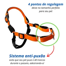 Pet Collars, Leashes & Harnesses Sets - Màu xanh lam - Xem 3